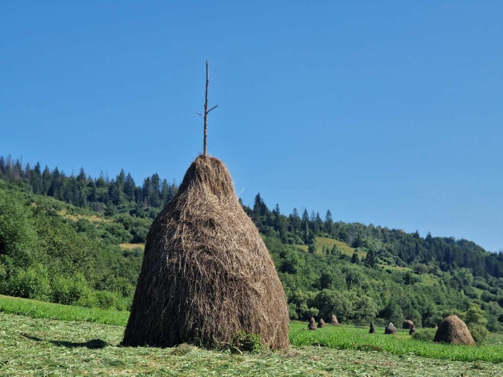 Вілла Річка ภายนอก รูปภาพ